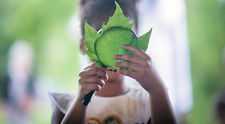 Kevin Graal news: Sunday Stories at kew