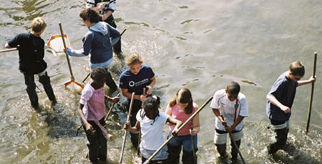 Creek Tales - Environmental Project